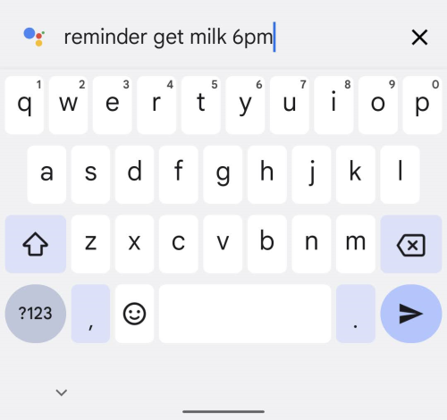 Tap the keyboard icon then type in your query or command